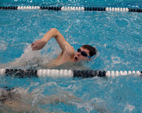 Wethersfield Swim 2-3-17