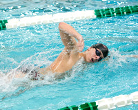 FHS Swimming Team & Action 2-7-17